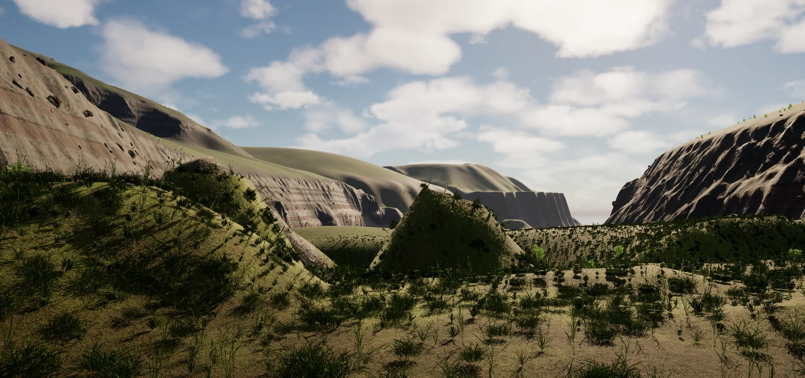 Looking down the valley toward the sea