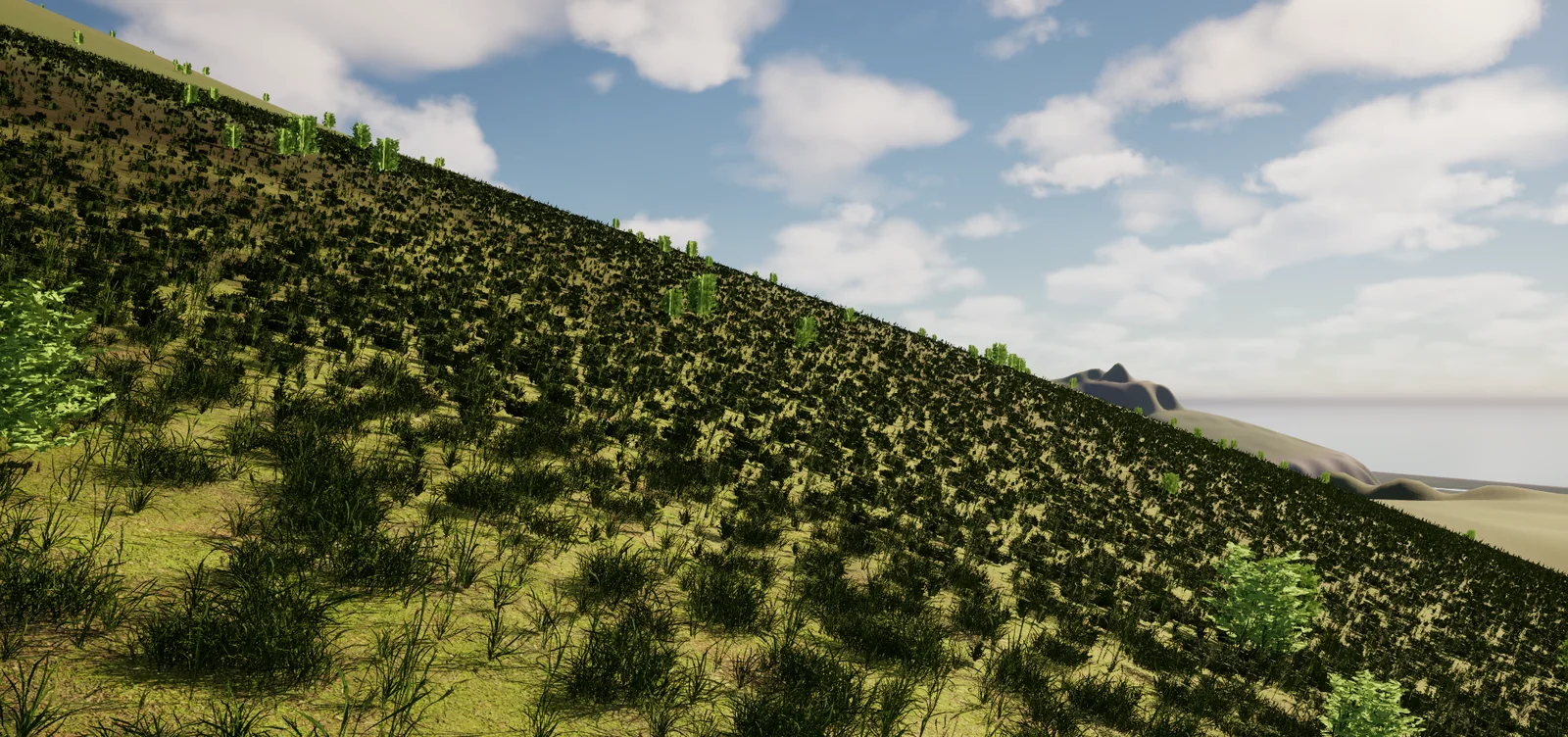 A walk through hillside vegetation