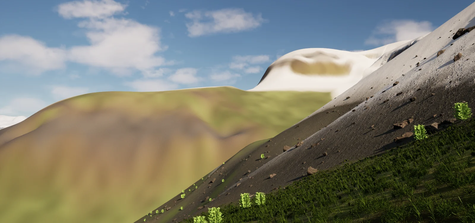 Rock and vegetation below the snowline