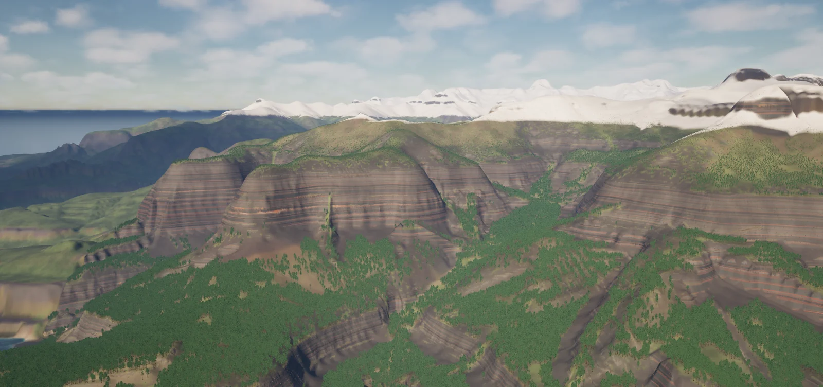 Conifer forest stops where the cliffs begin